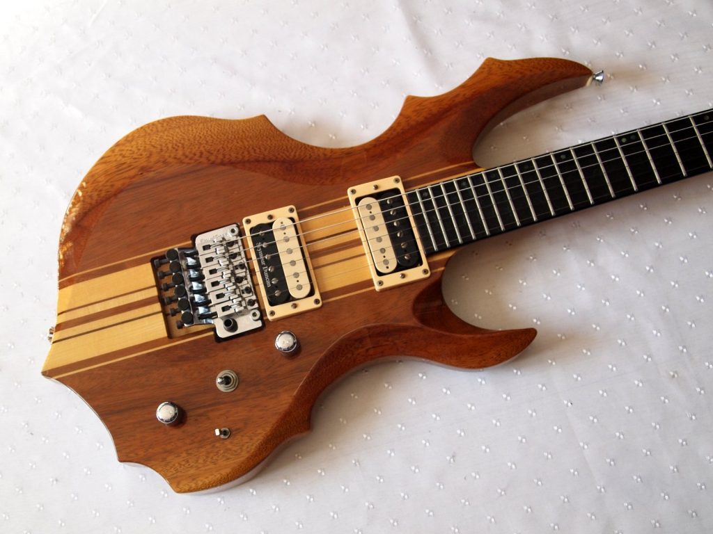 Edwards krv Custom